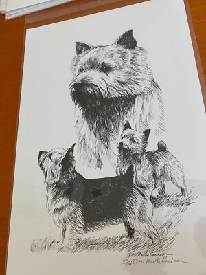Norwich Terrier trio  Limited Edition  Print By Van Loan 11x17 Signed