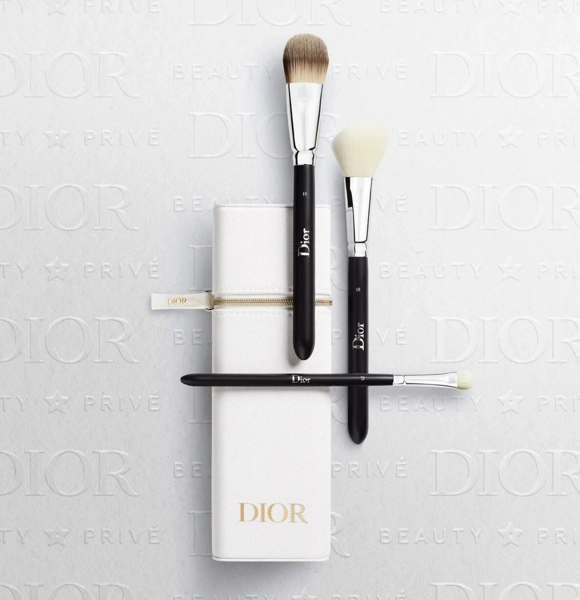 Dior Brush Set + Case | eBay