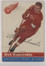 Click to enlarge Alex Delvecchio
