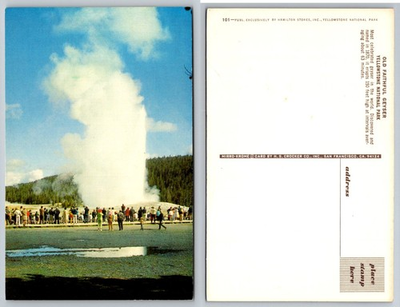 #ad Old Faithful Geyser Yellowstone Park Mirro Krome Postcard H.S. Crocker $4.44