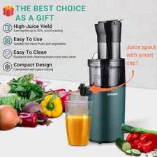 Slow Juicer Cold Press Juicer Machine 80mm Wide Chute Non-Clogging Filter 250W