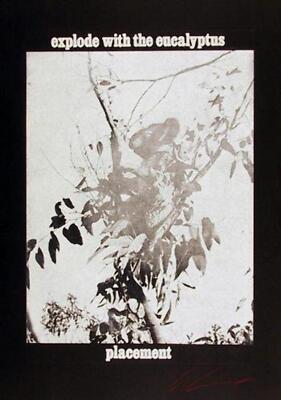 Les Levine, Explode with the Eucalyptus, Photo-Etching, signed and numbered in p