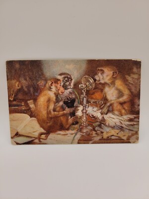 Postcard Don't Monkey Three Monkeys Playing With Phone Singerie 1906