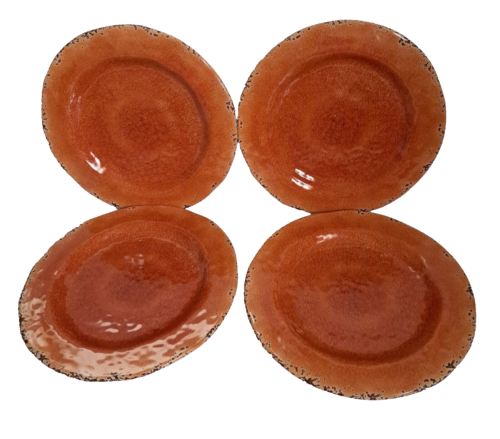 Pier 1 Imports 9" Salad Plates Melamine Rustic Orange Carmelo Pattern Set of 4