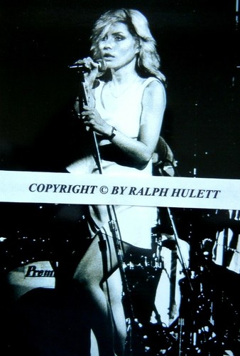 Debbie Harry of Blondie -- Original Fotos 1978 San Diego State Amp - Bild 4 von 11