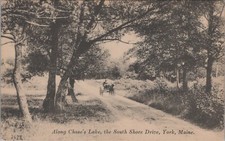 Along Chase's Lake South Shore Drive York Maine Divided Back Vintage Post Card