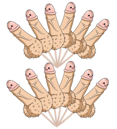 Fun Willy Willies Hen Party Food Cup Cake Picks Sticks Flags Decorations Toppers - Picture 9 of 9