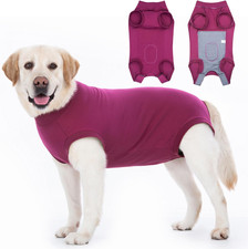 Dog Surgery Recovery Suit Medical Pet Shirt Recovery Suits for after Surgery Fem