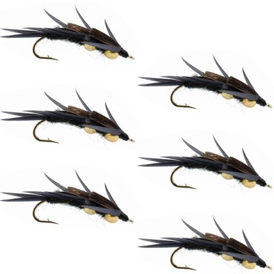 Double Bead Black Stone Fly with Black Biot Legs - 6 Flies Hook Size 12