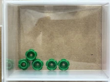 LEGO Parts - Green Plate, Round 1 x 1 Flower Edge (5 Petals) - No 24866 - QTY 5