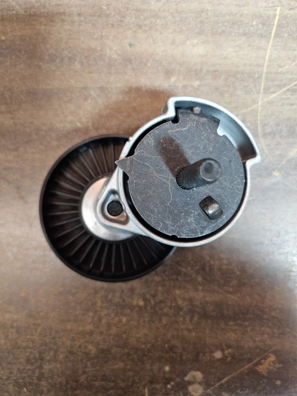 Miniatura 6