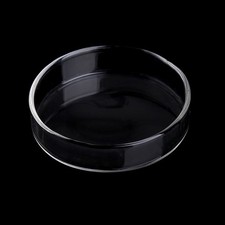Shrimp Feeder Acrylic Dish Reptiles Round Tray Bowl 2.4" Diameter