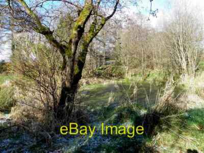 Foto 6x4 Ein schleimiger grüner Teich, Drudgeon Clanabogan abgebildet entlang der Fahrt c2013