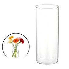 Clear Cylinder Vases 7 Inch Tall Glass Flower Vase for Table Decor 25oz