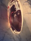 Donna Gelsinger  Frosted Snowman Table accent Light Signed, Stoney Creek,  Nwt   — photo 2
