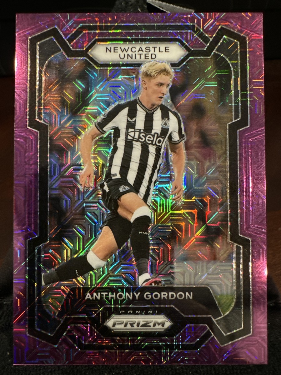 23-24 PANINI GORDON ゴードン 直筆サイン Choice 23-24 PANINI GORDON ゴードン 直筆サイン Choice - メルカリ