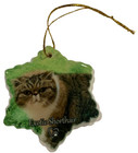 Exotic Shorthair Cat Porcelain Star Shaped Christmas Ornament New