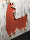 Bild 6 von 12