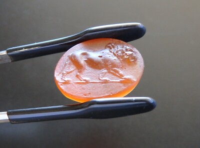 LION honey amber Venetian glass Cameo*oval*17mmx13mm*unset gem*Tassie seal