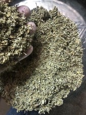 organic DAMIANA leaf cut sifted herb 1 2 4 5lb c/s bulk wholesale FREE SHIP