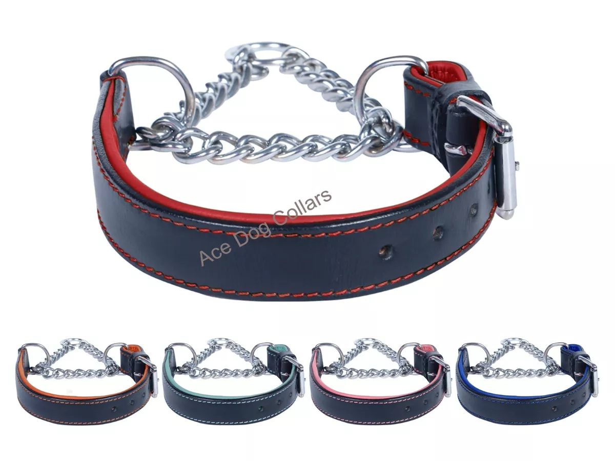 Padded half hotsell check dog collar