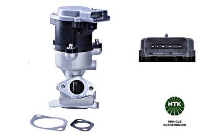 NGK/NTK AGR Ventil Metall Für CITROEN JAGUAR LAND ROVER PEUGEOT 04-15 1618.N7
