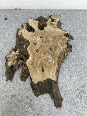 Ofengetrocknete Olivenwurzel 700-450-45 mm Epoxidharz, Olivenbaum,
