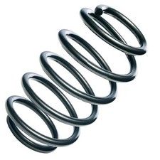 Fahrwerksfeder vorne R10205 für Renault Megane II, Megane II Hatchback Van, Mega