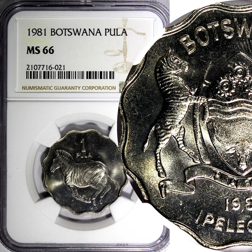 Botswana 1981 Pula Zebra Burchell's zebra NGC MS66 TOP GRADED BY NGC KM# 8 (21)