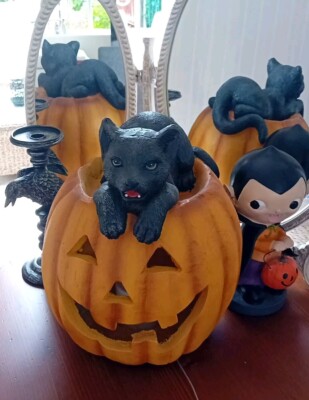 TK Maxx Halloween großer leuchtender Kürbis schwarze Katze saß oben 15,5 hoch RAR
