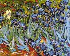 USA - DIY Paint by Number Kit Acrylic Painting Home Decor - Irises Van Gogh