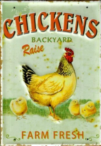 Kitchen Innenraum-Dekorationen