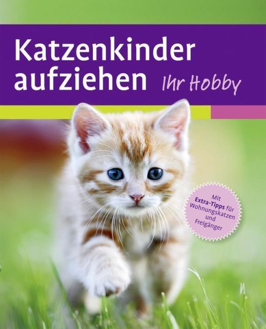 Katzenkinder aufziehen Mark Evans
