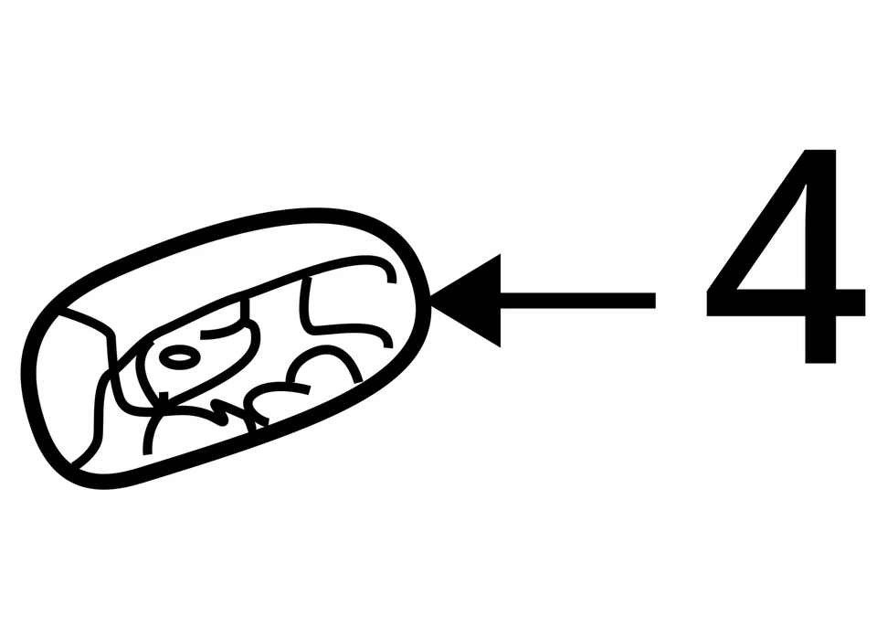 FITS 2003 - 2008 PONTIAC VIBE CAP RR S/D O/S HDL END 88974786 - 全新原始设备制造商 — 第 4/4 张图片