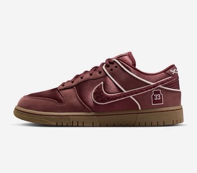 Nike Dunk Low Protro Team Red Gum Low Top Athletic Sneaker 2026. Future Ship