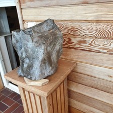 Versteinertes Holz, Stamm   Arizona, Sehr Schwer