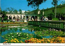 Lily Pond at Balboa Park San Diego California Vintage Continental Postcard