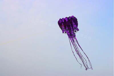 2024 new 3D kite / large software kite / 5.5 m octopus kite / high quality