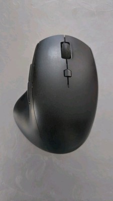 Lenovo 600 Wireless Media Funkmaus ergonomisch 2.4Ghz