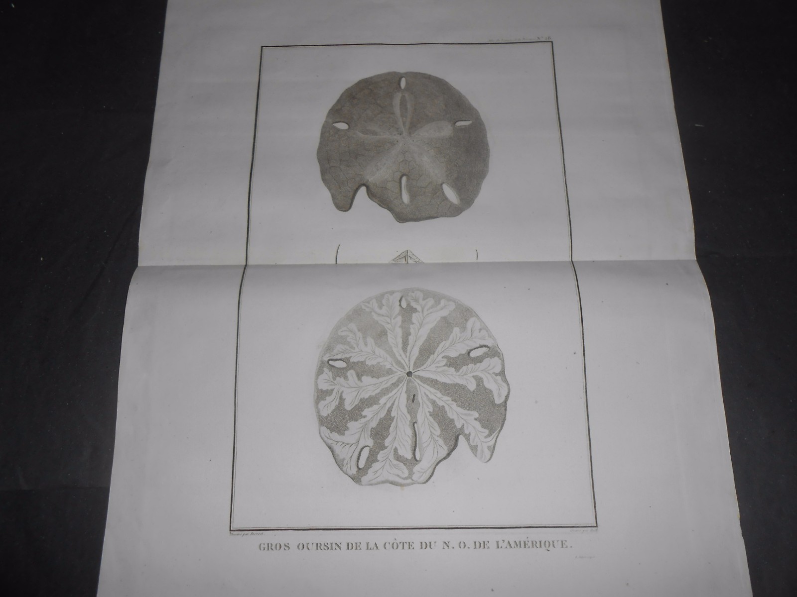 Foto 1 di 4