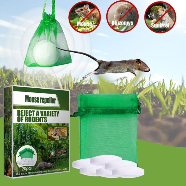Safe Protection Keep Mole Rat Mice Out Mouse Repeller Controller Peppermint Oil