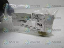 PRAXAIR 20709 FLARE CAP BRASS (PK OF 2)  NSNP IN BAG