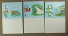 Canada 1964 Provincial Flowers Angus Shortt signed Souvenir cards - never used