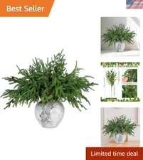 Set of 10 Realistic Norfolk Pine Branches with Cones for Elegant Holiday Styling