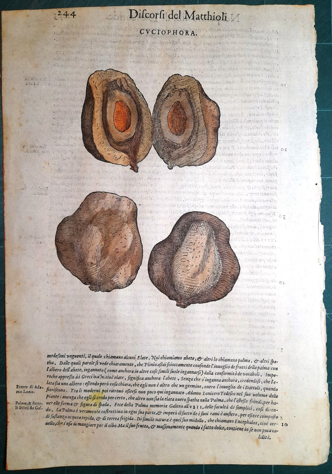 Foto 1 di 1