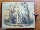 Engravings PICTURESQUE PATHOLOGY COMIC ALBUM Lithograph Reproduction
