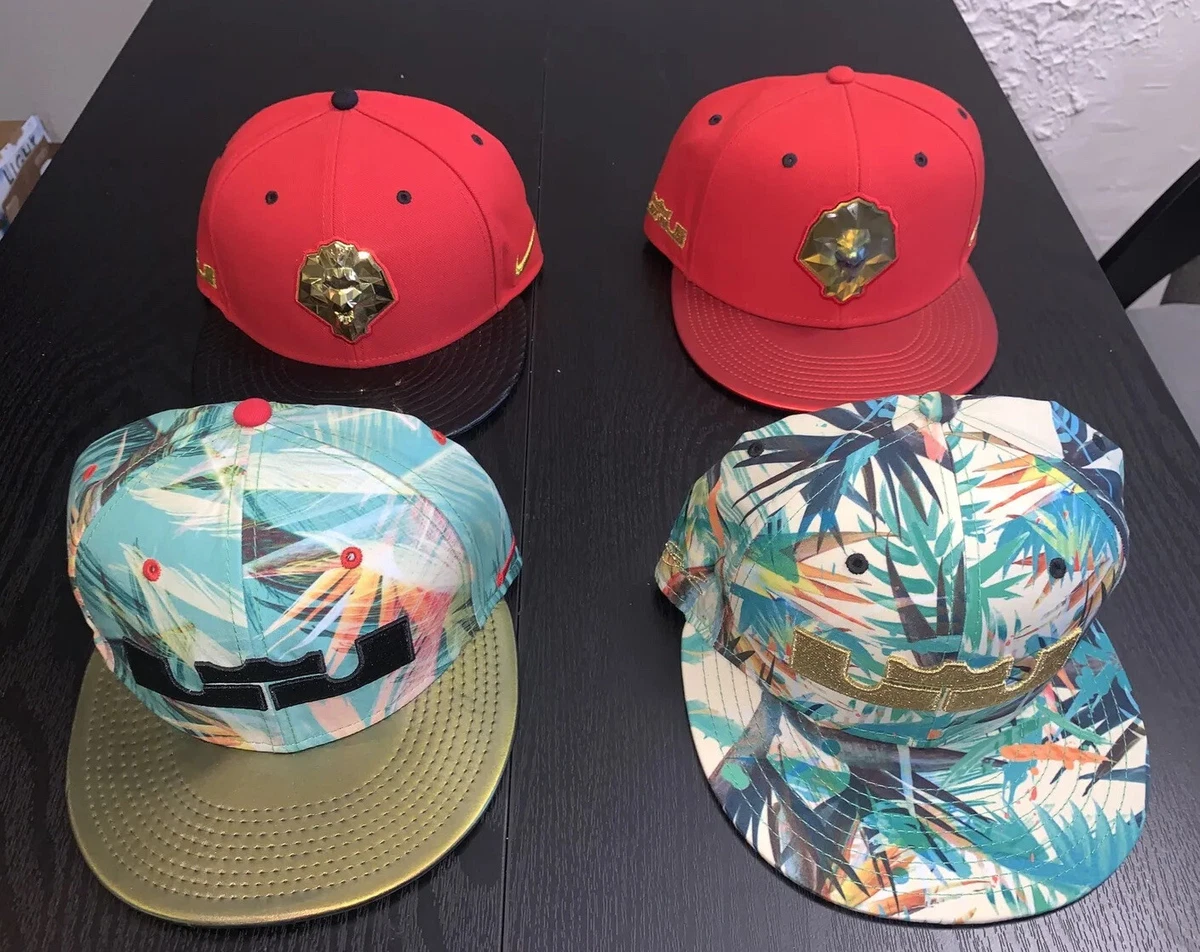 lebron james nike hat