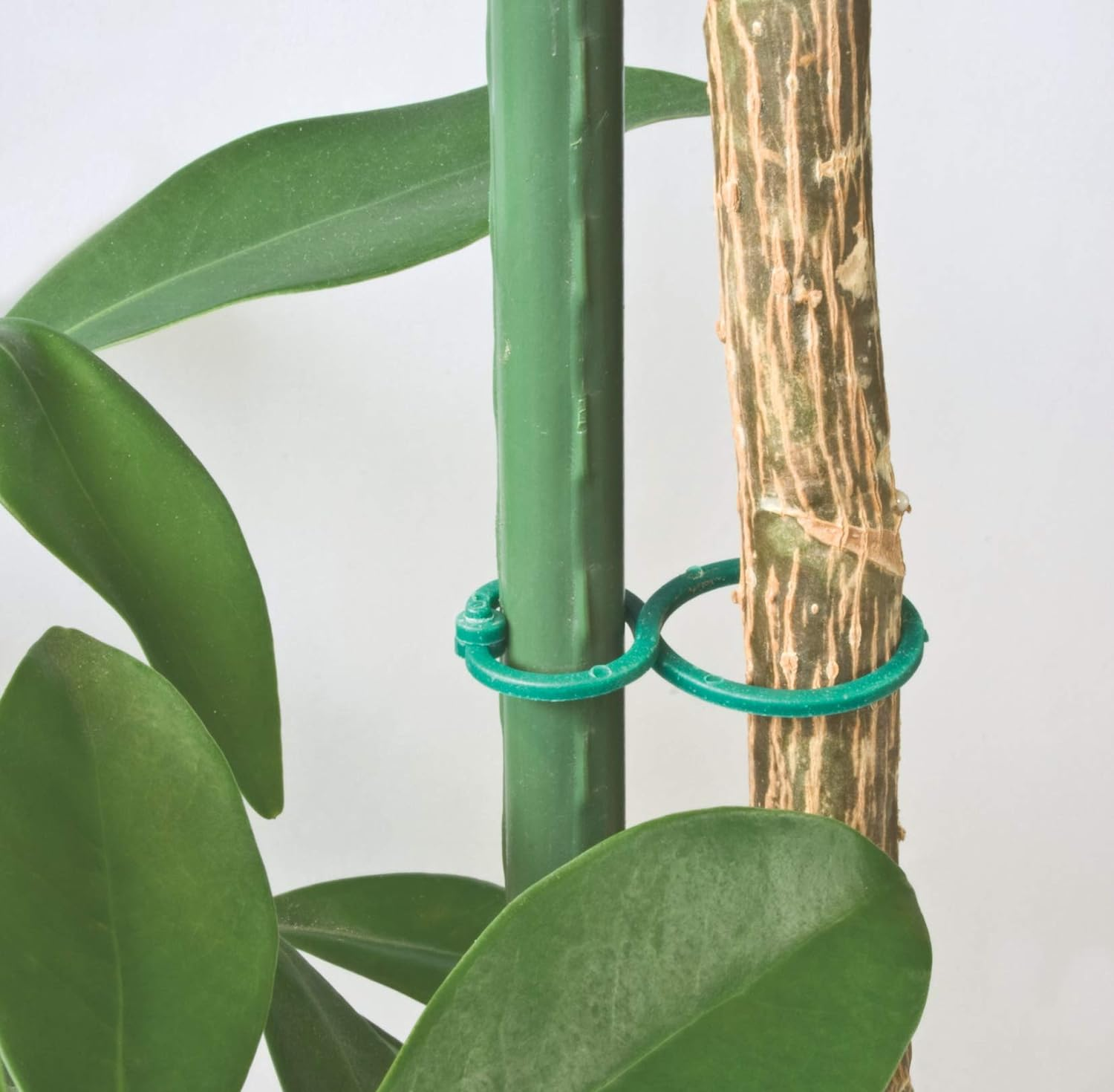 Windhager Ringbinder, Befestigung Für Pflanzen, Pflanzenbinder