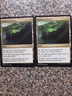 MTG 2 x Unknown Shores - Oath of the Gatewatch