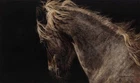 Judy LARSON " Fire and Flight " Limited Edition art PRINT Wild Horse Mustang